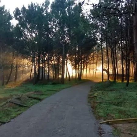 Vivenda Arlindo 别墅 劳林哈